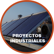 Categoria 5
